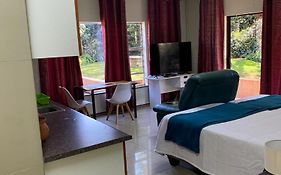 Palm Inn